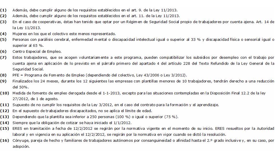 Bonificaciones Seguridad Social9