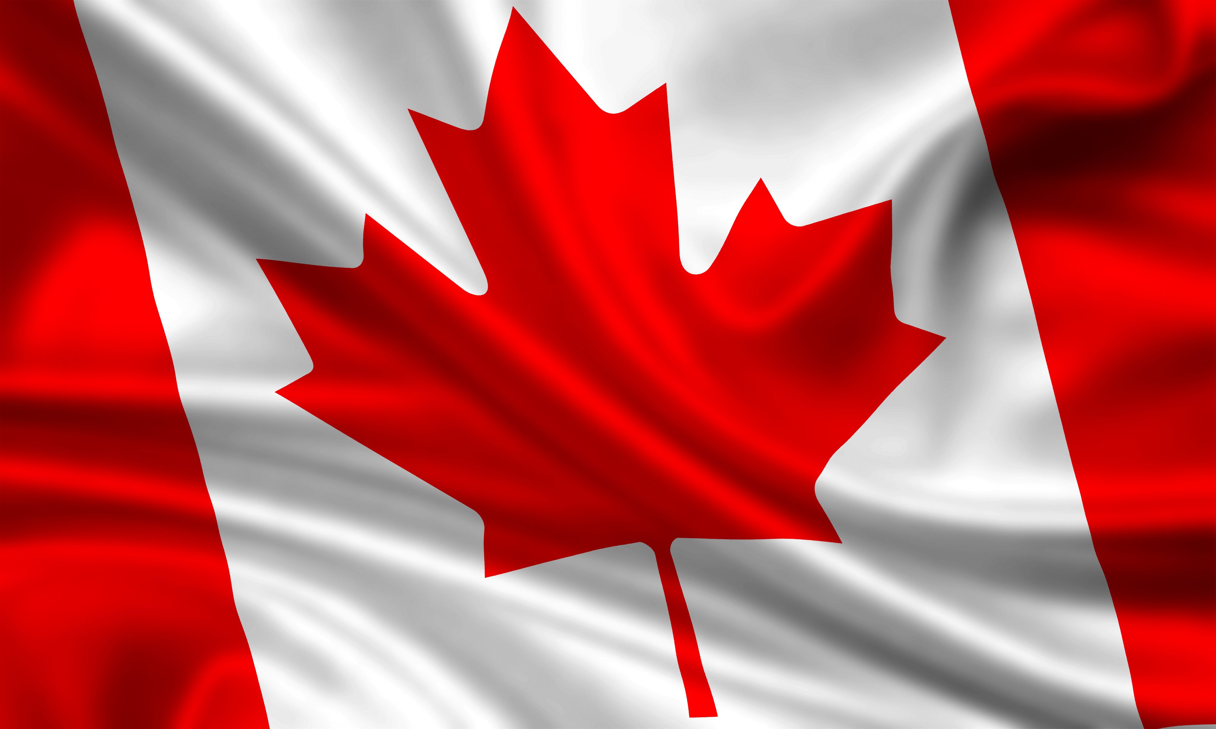 SFAI da la bienvenida a 37 nuevos socios en Canadá