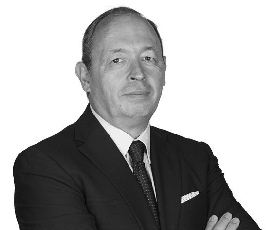 Directorio de profesionales 52