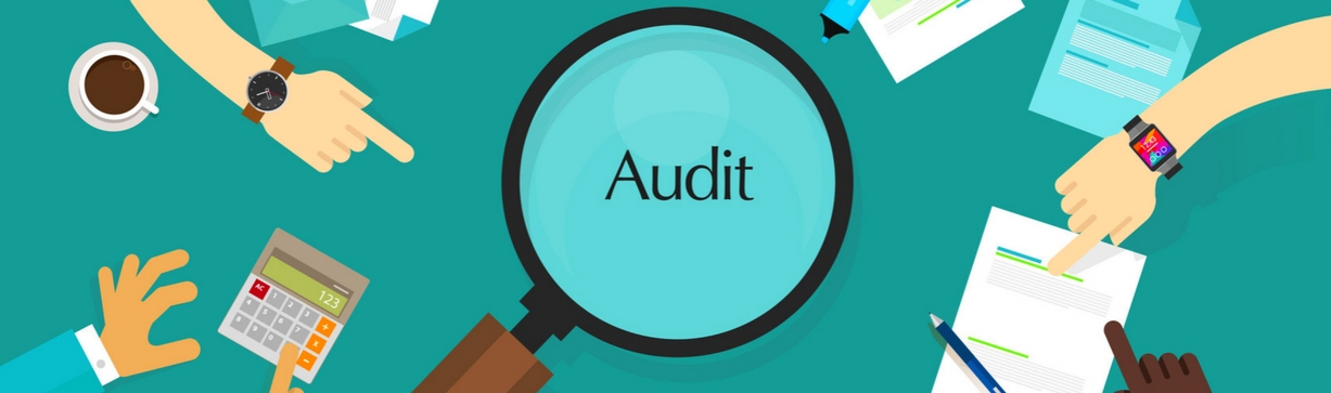 Header Servicio Auditoria