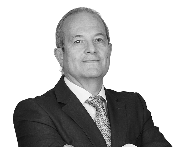 Directorio de profesionales 62