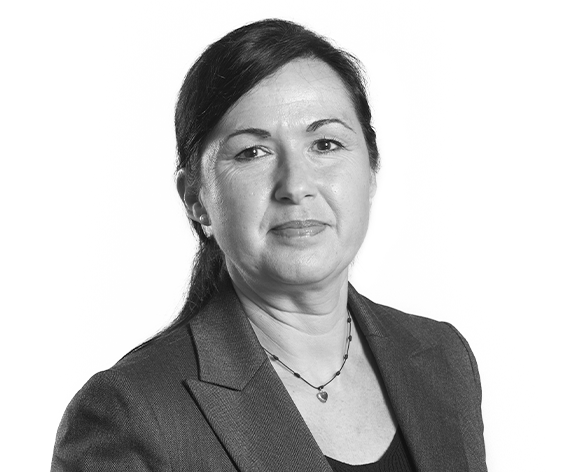 Directorio de profesionales 77